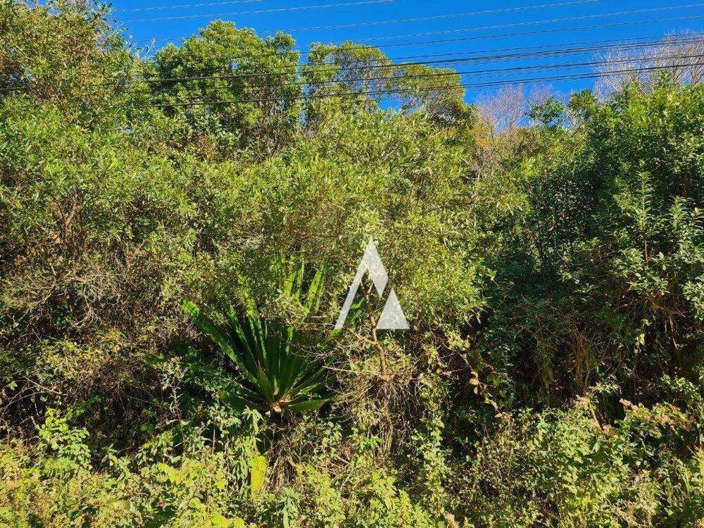 Terreno, 6138 m² - Foto 5