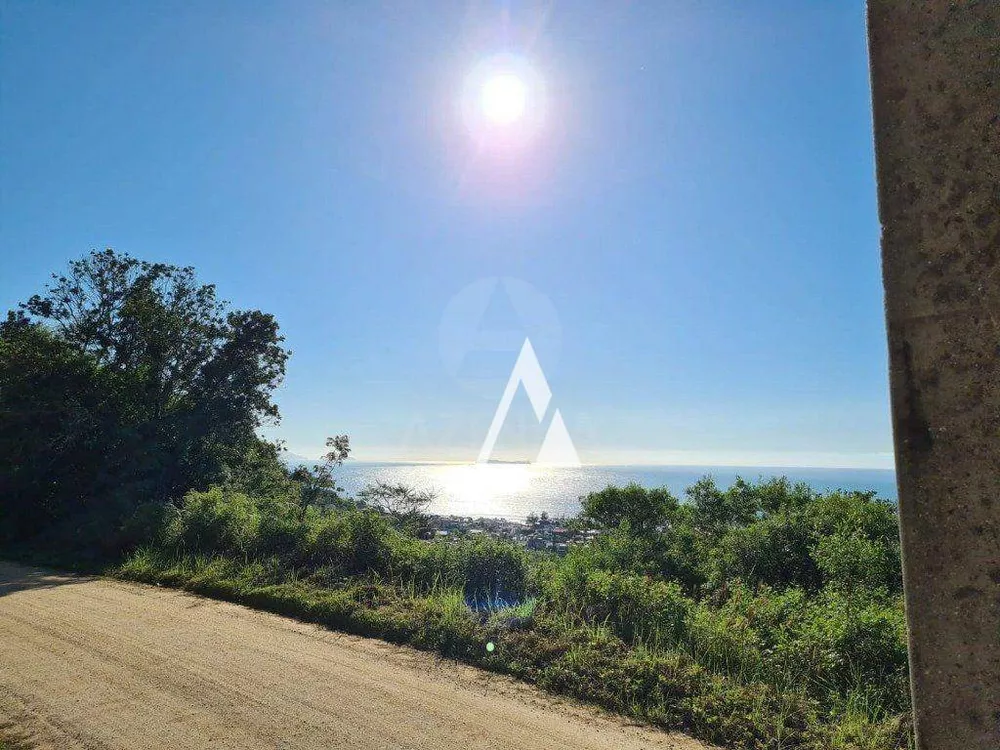 Terreno, 6138 m² - Foto 6