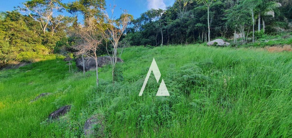 Loteamento e Condomínio, 3056 m² - Foto 3