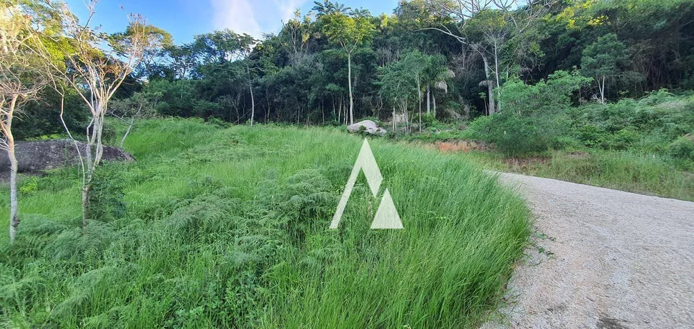Loteamento e Condomínio, 3056 m² - Foto 4