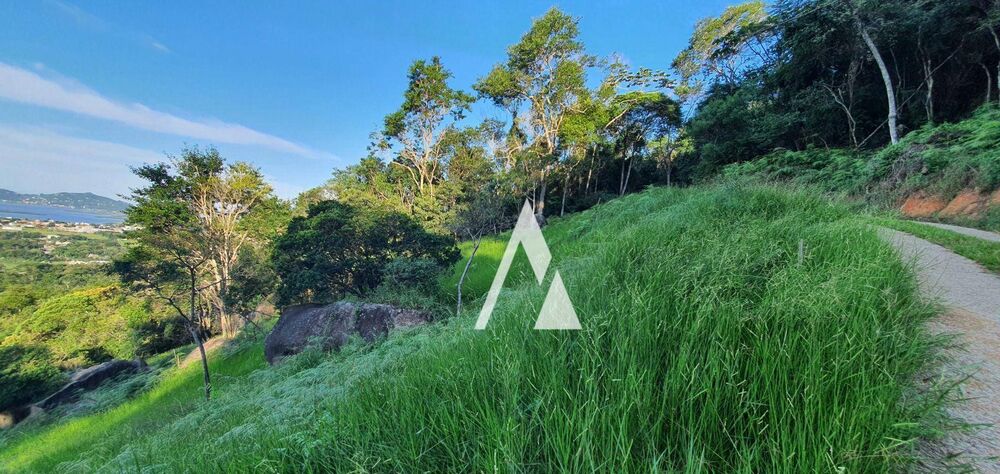 Loteamento e Condomínio, 3056 m² - Foto 6