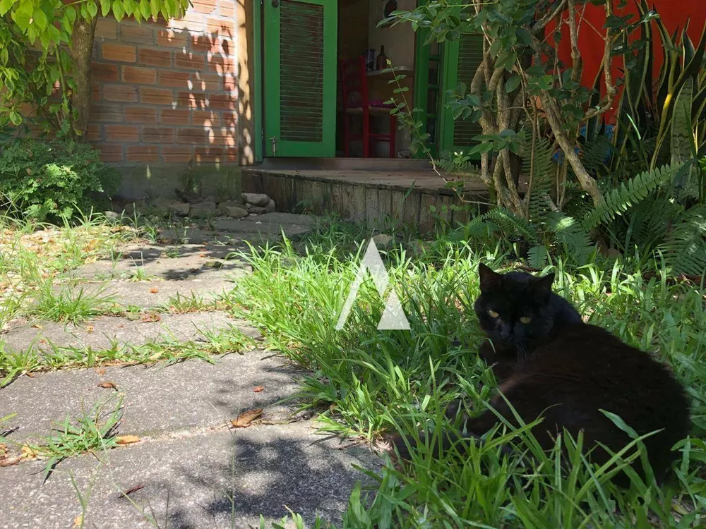 Casa, 3 quartos, 157 m² - Foto 39