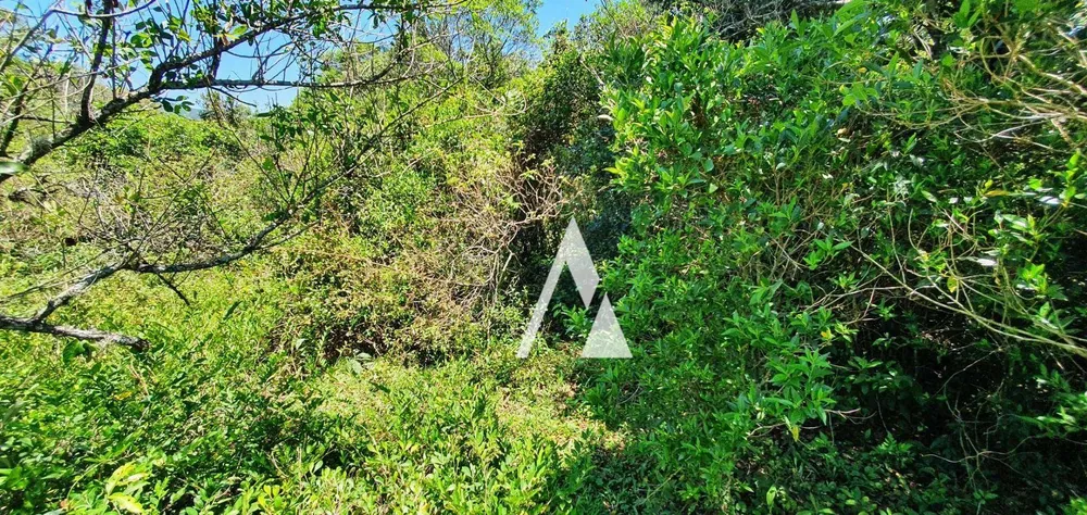 Loteamento e Condomínio, 1 hectares - Foto 10