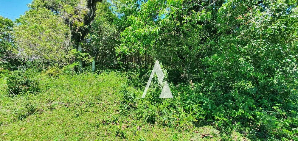 Loteamento e Condomínio, 1 hectares - Foto 8