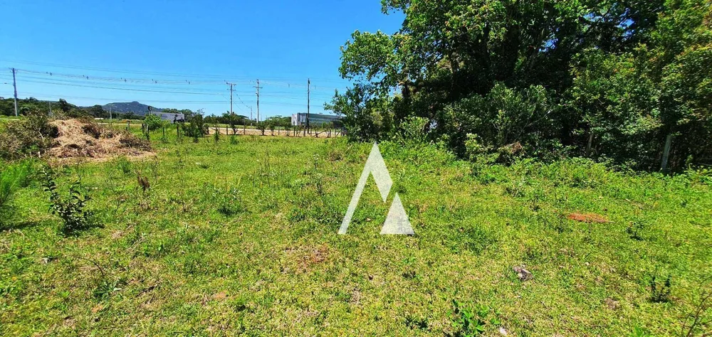 Loteamento e Condomínio, 1 hectares - Foto 7