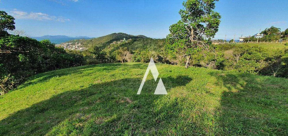 Terreno, 4908 m² - Foto 4