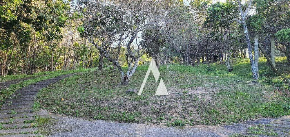 Terreno, 4908 m² - Foto 1