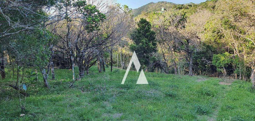 Terreno, 4908 m² - Foto 3