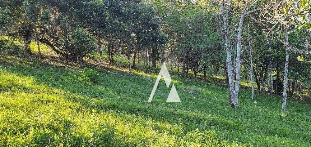 Terreno, 4908 m² - Foto 4
