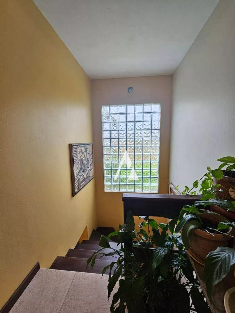 Casa, 3 quartos, 236 m² - Foto 12