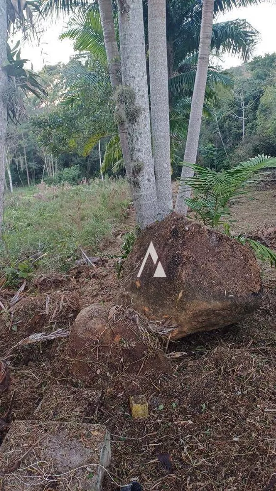 Terreno, 1528 m² - Foto 3