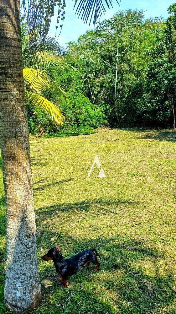 Terreno, 1528 m² - Foto 36