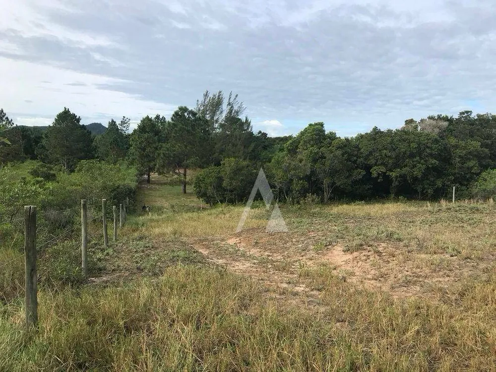 Terreno, 4330 m² - Foto 7