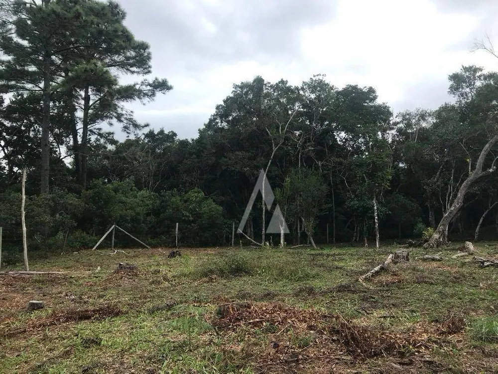 Terreno, 4330 m² - Foto 11