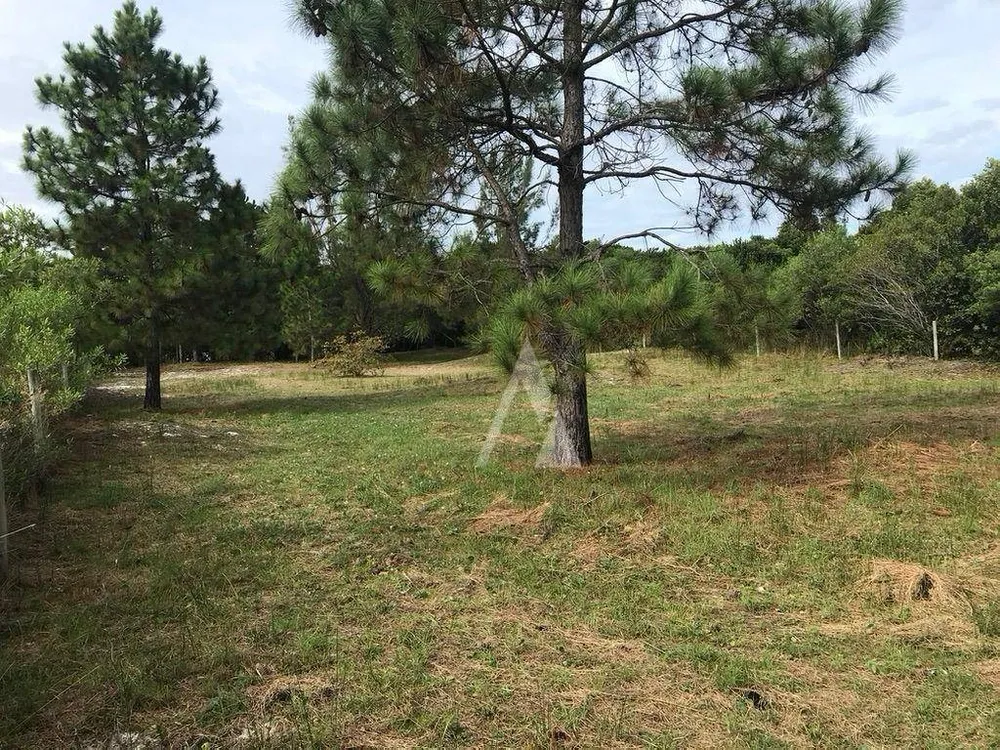 Terreno, 4330 m² - Foto 12