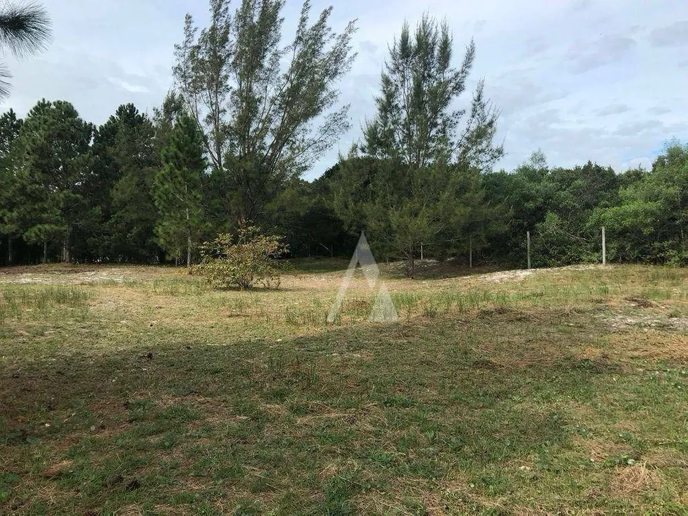 Terreno, 4330 m² - Foto 13