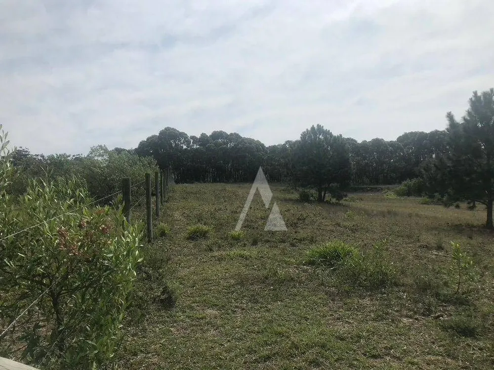 Terreno, 4330 m² - Foto 2