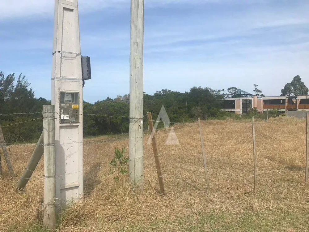 Terreno, 4330 m² - Foto 4