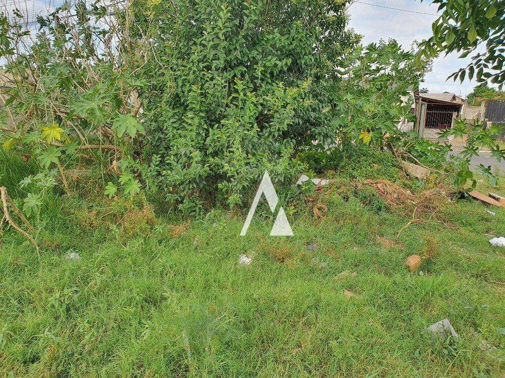 Terreno, 374 m² - Foto 4