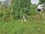 Terreno, 374 m² - Foto 4