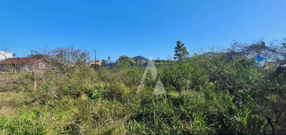 Loteamento e Condomínio, 363 m² - Foto 5
