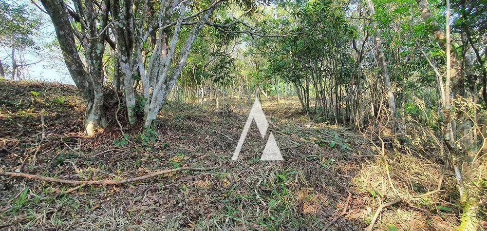 Terreno, 1900 m² - Foto 6