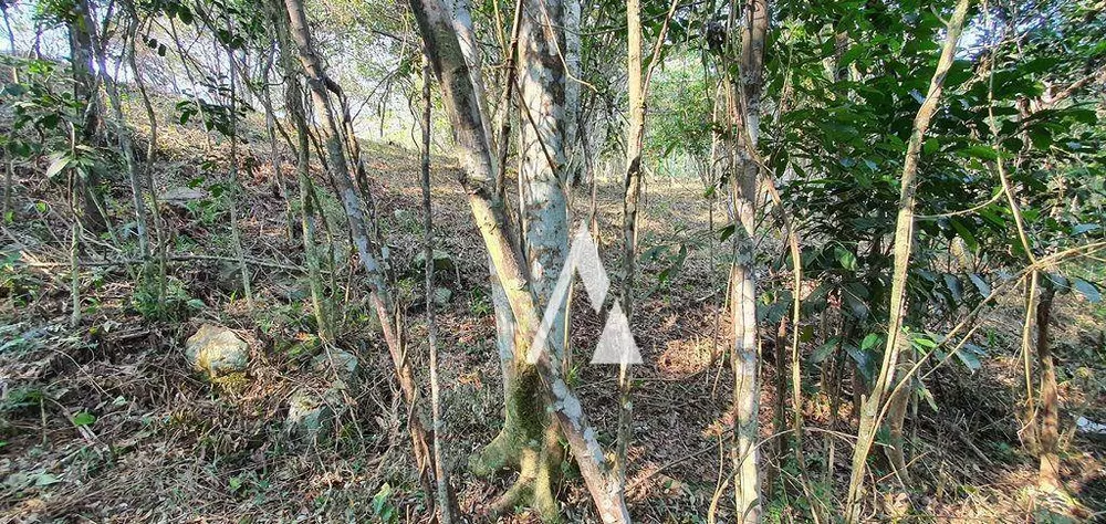 Terreno, 1900 m² - Foto 2