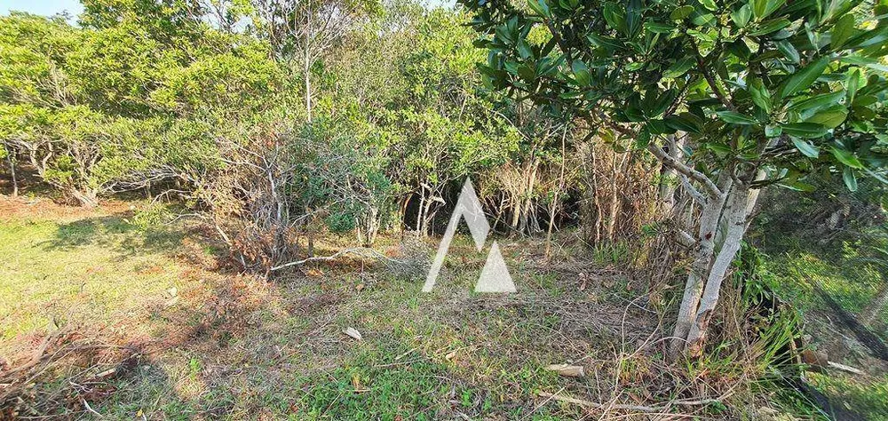 Terreno, 1900 m² - Foto 12