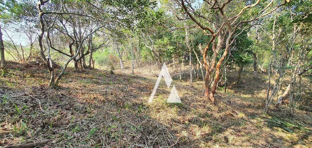 Terreno, 1900 m² - Foto 8