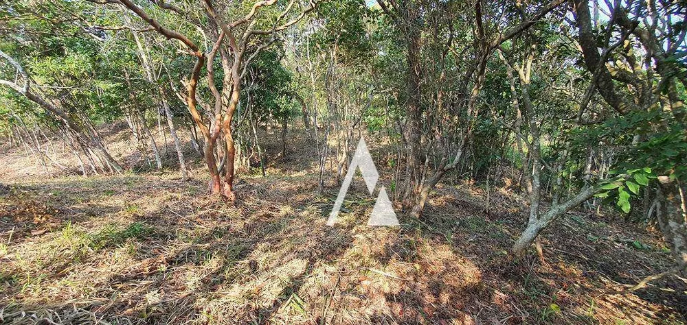 Terreno, 1900 m² - Foto 7