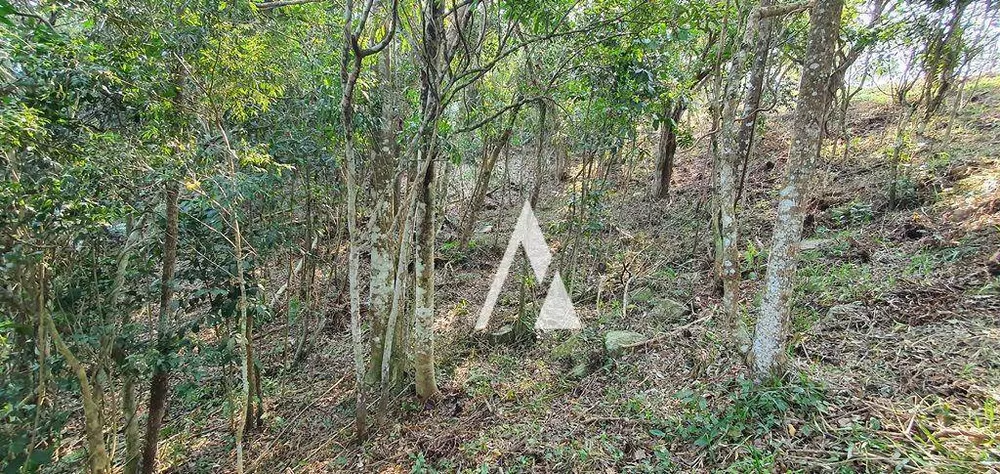 Terreno, 1900 m² - Foto 4