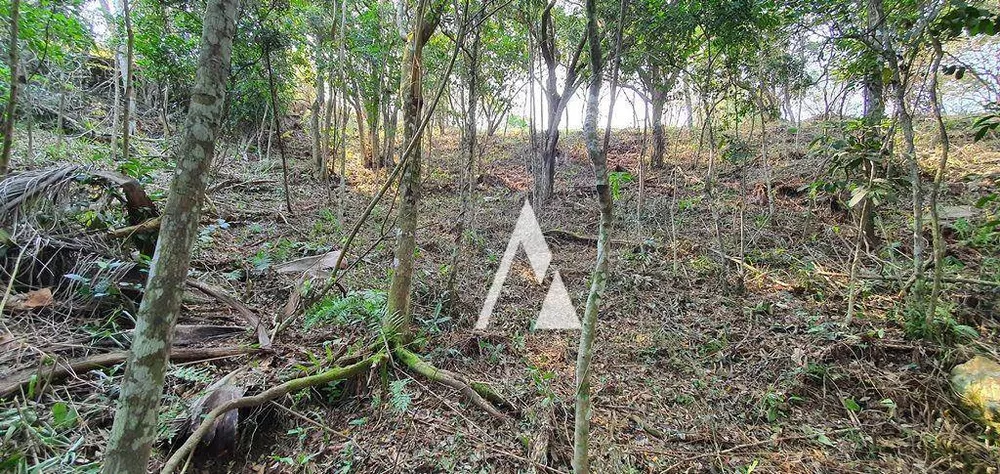 Terreno, 1900 m² - Foto 15