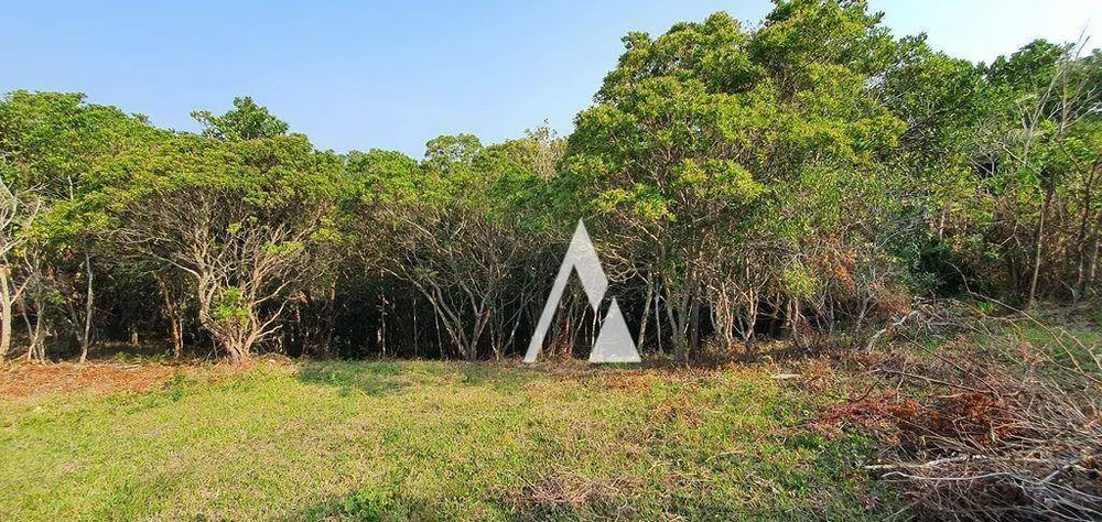 Terreno, 1900 m² - Foto 11