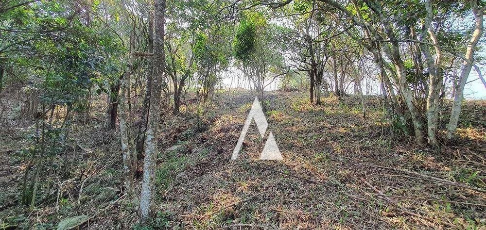 Terreno, 1900 m² - Foto 5