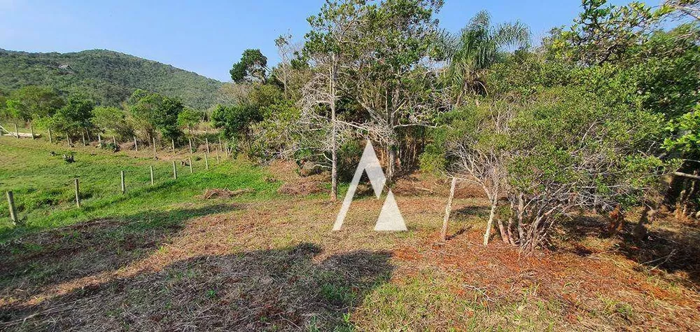 Terreno, 1900 m² - Foto 9