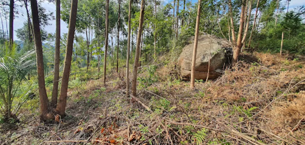 Terreno, 2000 m² - Foto 4