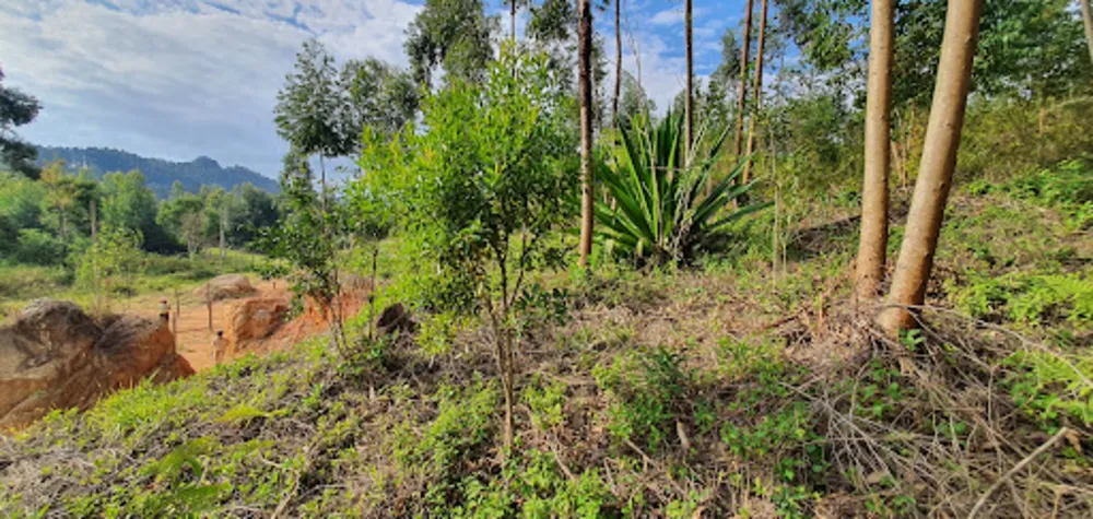 Terreno, 2000 m² - Foto 3
