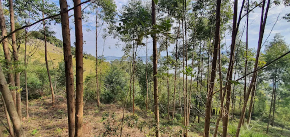 Terreno, 2000 m² - Foto 10