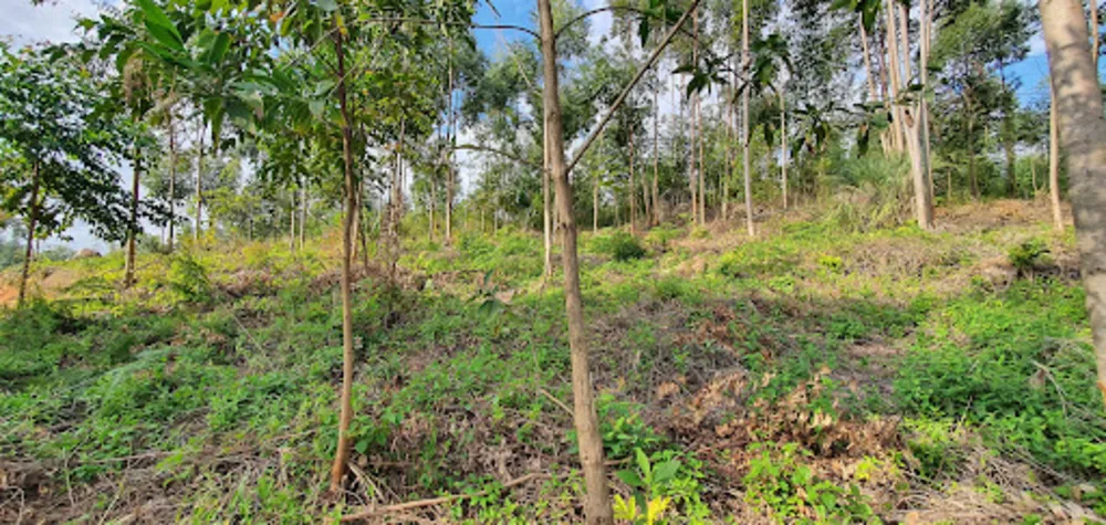 Terreno, 2000 m² - Foto 13
