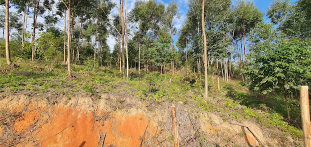 Terreno, 2000 m² - Foto 16