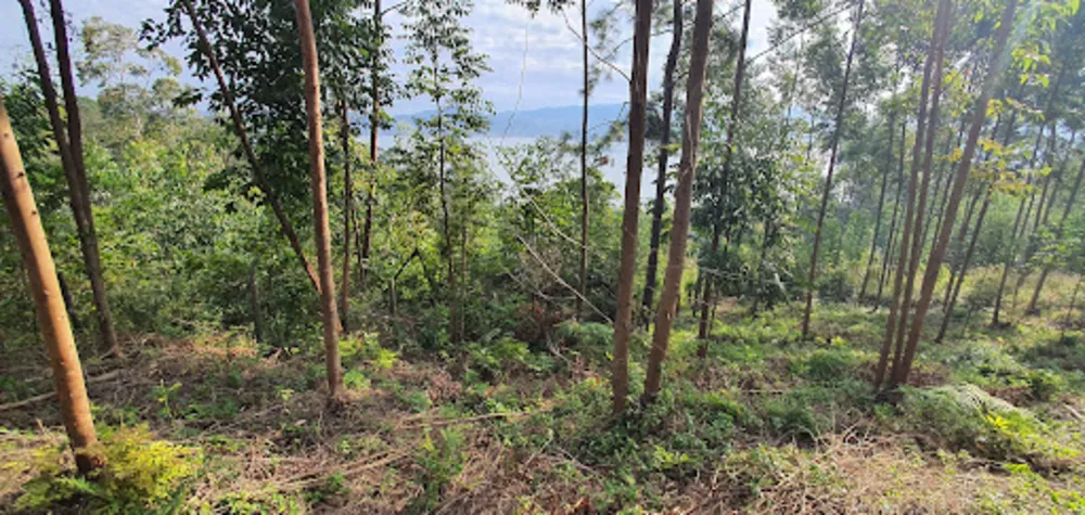Terreno, 2000 m² - Foto 6