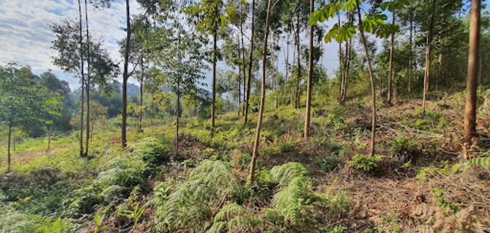 Terreno, 2000 m² - Foto 11
