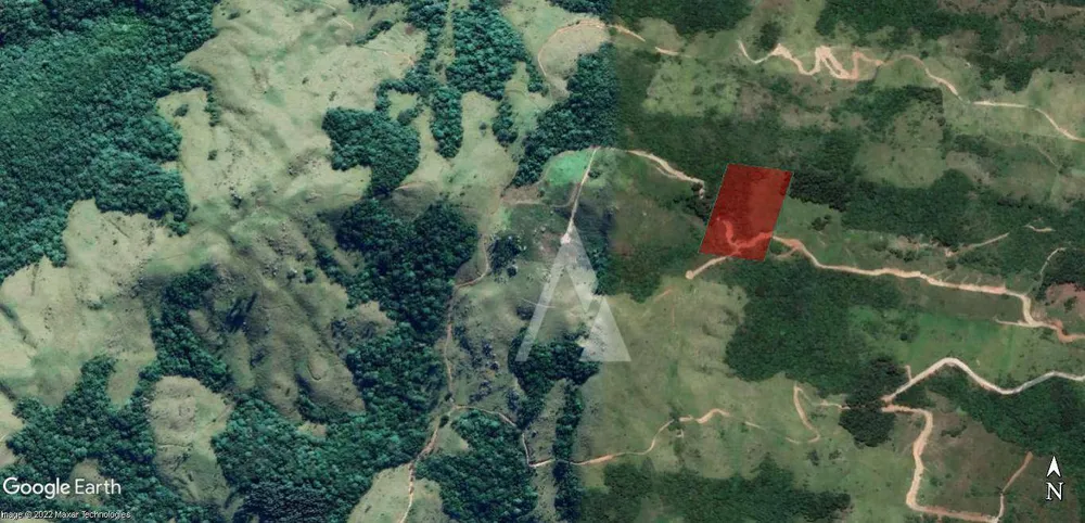 Terreno, 2 hectares - Foto 10