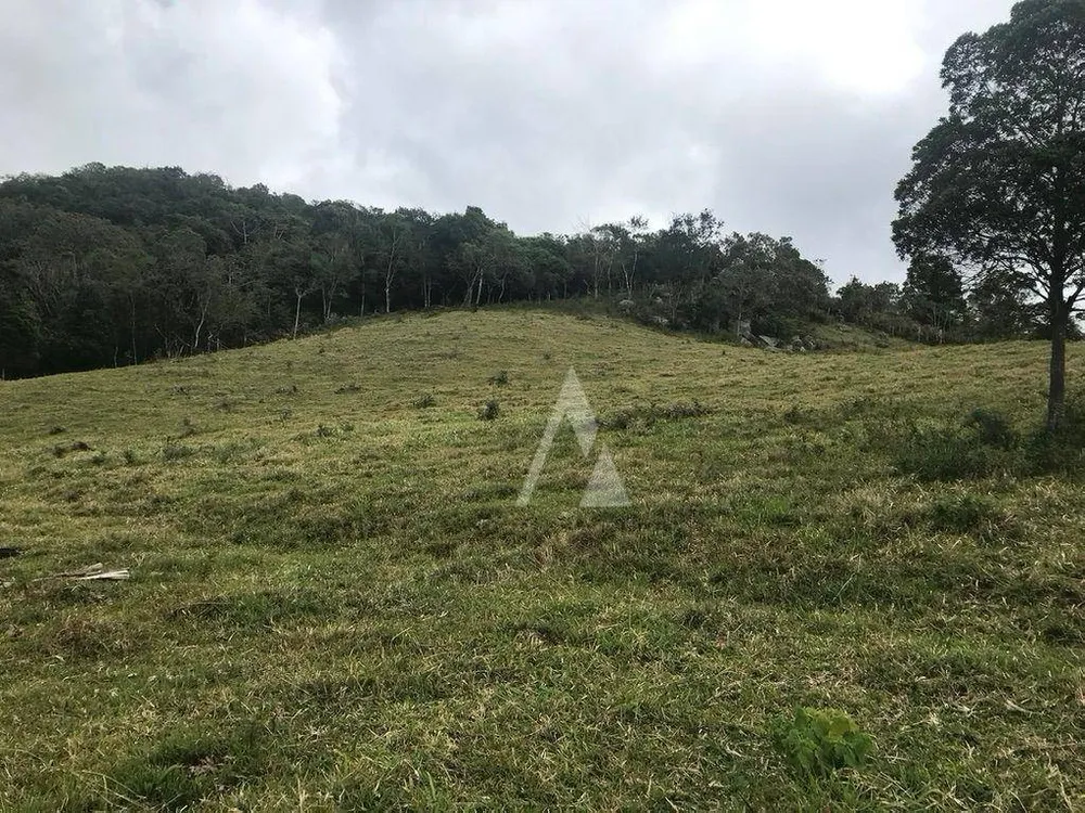 Terreno, 2 hectares - Foto 3