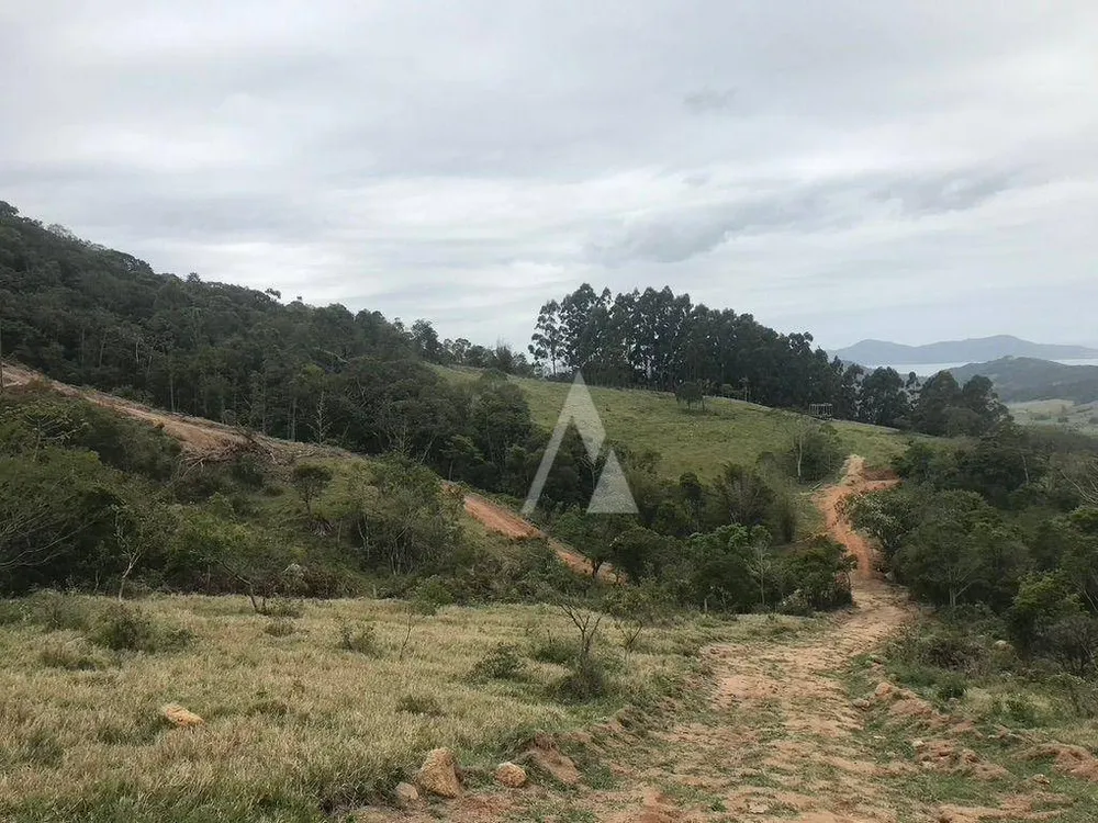 Terreno, 2 hectares - Foto 7