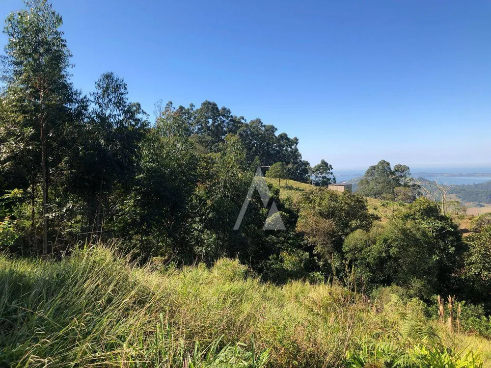 Terreno, 2 hectares - Foto 9