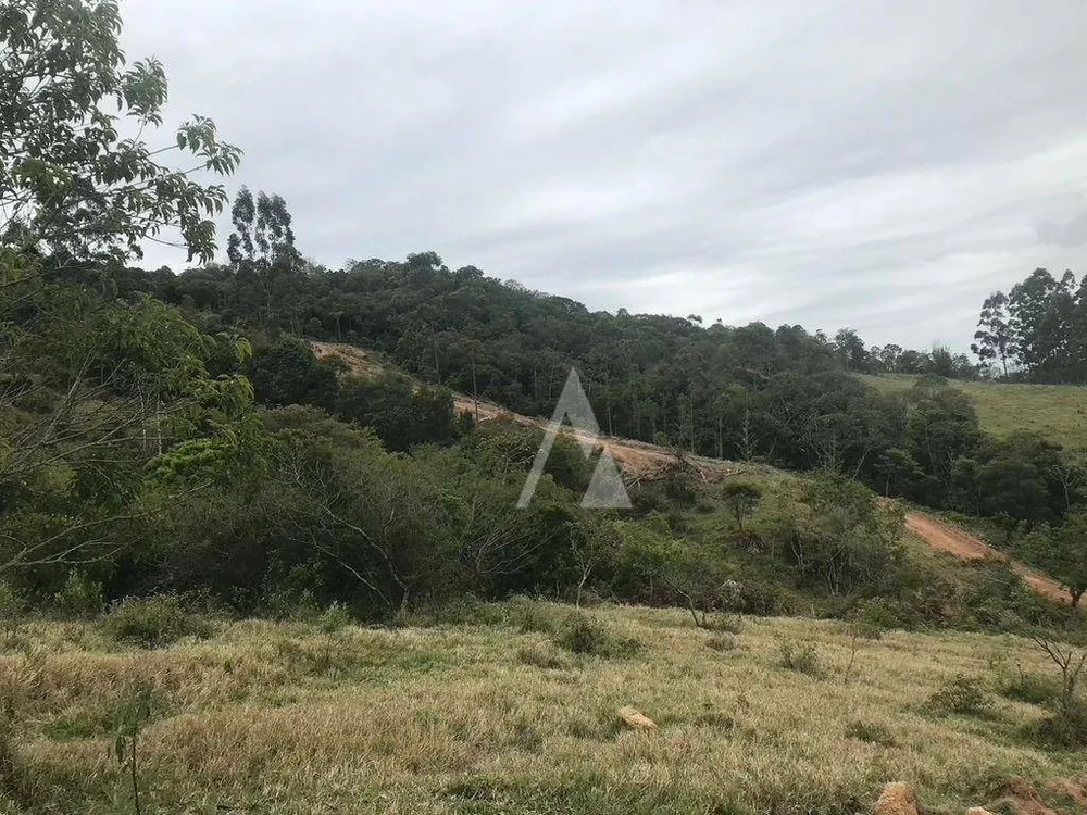Terreno, 2 hectares - Foto 5