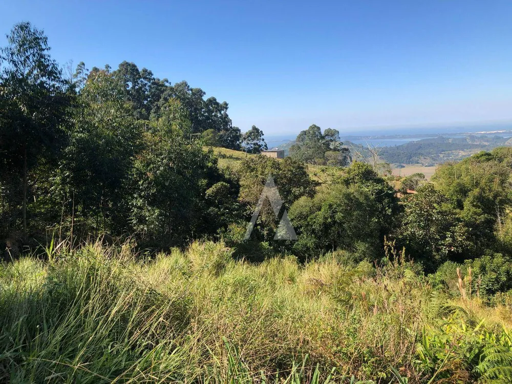 Terreno, 2 hectares - Foto 8