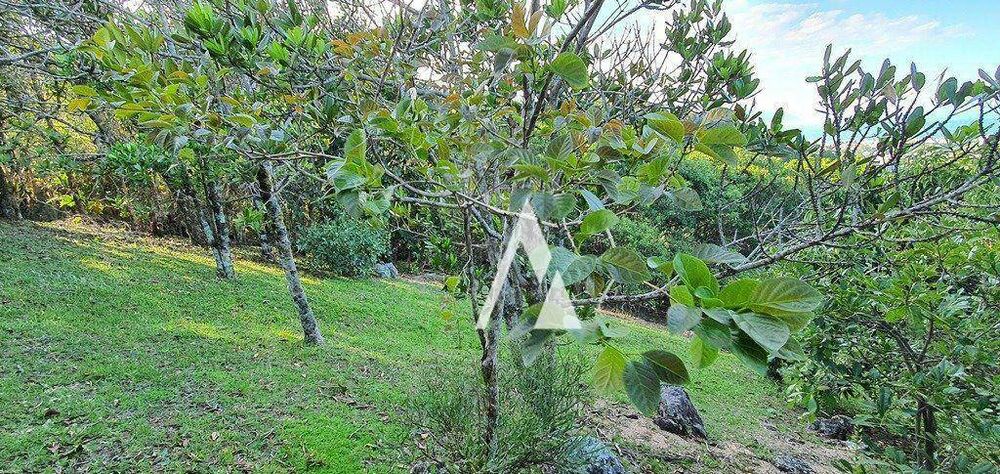 Casa, 2 quartos, 313 m² - Foto 4