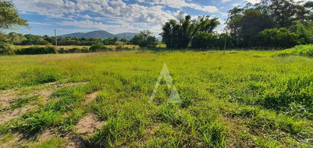 Casa, 2 quartos, 300 m² - Foto 5